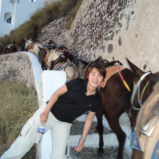 donkey express santorini