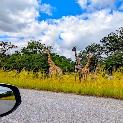 Chobe, Botswana