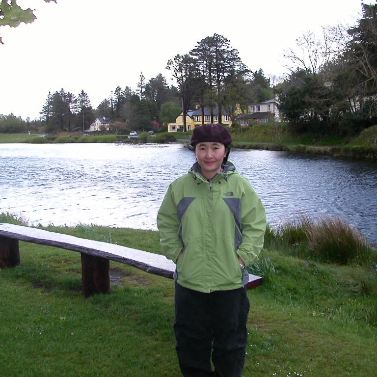 Gouganne Barra, Ireland